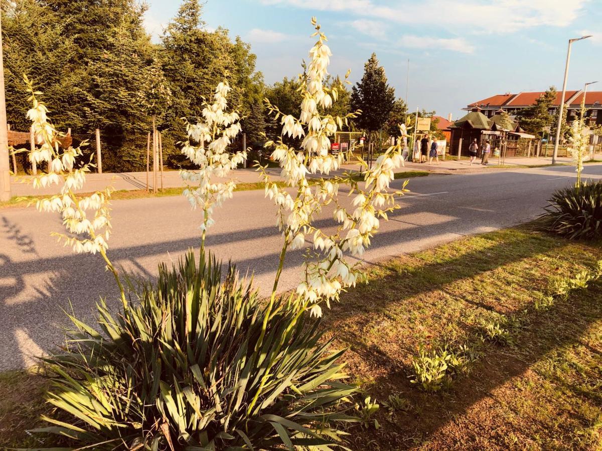 Club Thermal Village Cegléd Exterior photo